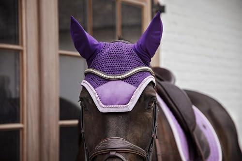 Kentucky - Bonnet Welington - Velours - Contraste Violet - pour Cheval