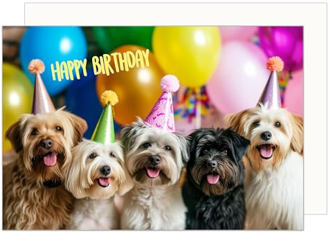Edition Seidel Premium Geburtstagskarte mit Umschlag. Glückwunschkarte Tier Karte Billet Geburtstag Happy Birthday Mann Frau Kind Mädchen Junge süße Hunde Party Ballons (G3522 SW024)