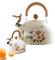 Té De Gaviota, Hervidor De Agua Caliente - 3l Terma De Agua Floral Con Mango Para Estufa De Casa