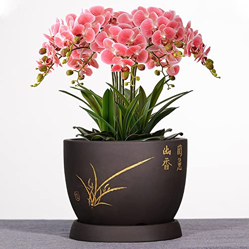 YRYRYW Große runde saftige Pflanzentöpfe grüne Pflanzenbehälter Keramikblüten Töpfe Innenlila Lehm Orchideen Outdoor Garten Bonsai Töpfe Hausdekorationstöpfe mit Abflussloch Untertassen Household