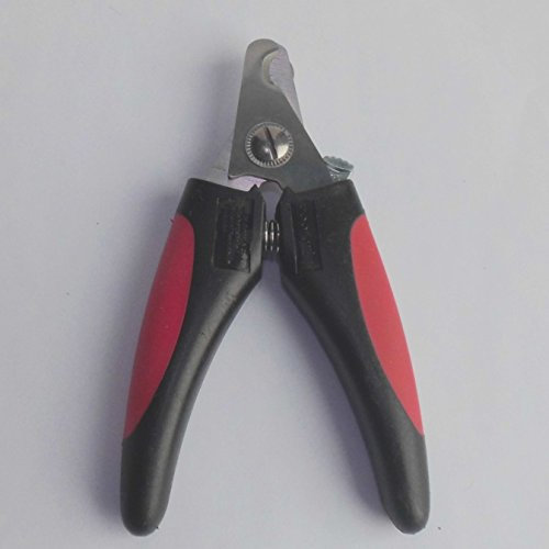 Krallenschere, klein/fein