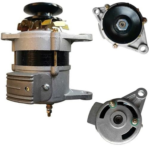 ZHOZHUT Generatore A Magneti Permanenti 220V 800W / 1300W / 1500W Motore per La Casa della Tensione Costante Senza Spazzole, Core Rame Piccola Alternatore per Tricicli E Motocicli,800w,220V