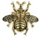 RANRAO Elegant Bee shaped Brass Cabinet Handles, Wardrobe Knobs and Door Pulls (Golden black)