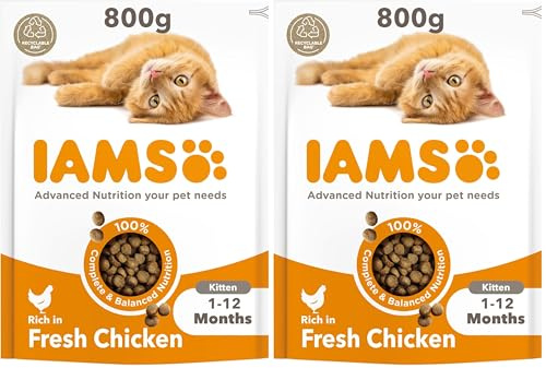 IAMS Complete Dry Cat Food for Kittens with Chicken 800 g (Pack of 2)