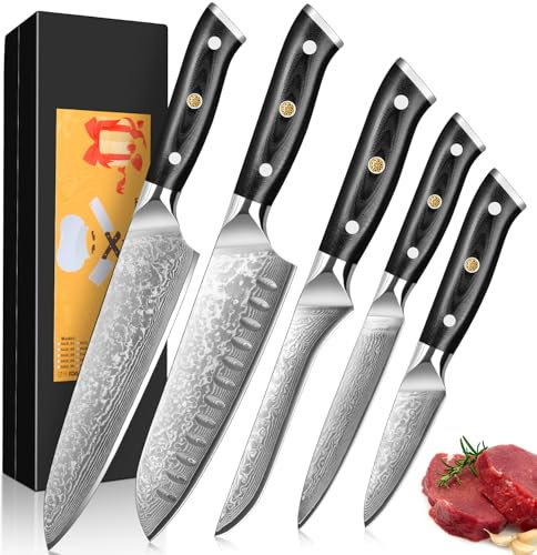 Kitchen Knife Set,5 Pieces,Professional Chef's Knife Set Made of 67 Layers of Vg-10 Damascus Steel,Ergonomic Black Handle,Come with a Black Sealed Box, use for Home Restaurant Kitchen