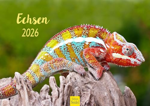 Edition Seidel Premium Kalender Echsen 2026 Format DIN A3 Wandkalender Tierkalender Echse Schuppenkriechtier Wildtiere Riesenechse Waran Farbwechsler Natur Wald Baum Wasser