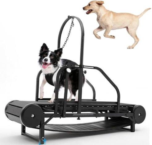 Verstellbares Laufband für Hunde, Laufband für Hunde, mit Schrittzähler, fördert gesundes und fites Haustierleben für große/mittelgroße Hunde