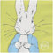 Peter Rabbit Contemporary Line Art Peter Napkins