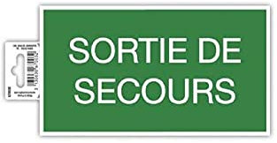 Exacompta - Réf. 67003E - 1 panneau adhésif SORTIE DE SECOURS - En PVC traité anti-dérapant et résistant aux UV - Dimensions du panneau : 20 x 11 cm - Coloris vert et blanc