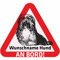 Indigos UG - Namensaufkleber Hund - Havaneser - Aufkleber mit Namen & Wunschtext - individuell personalisiert - Auto - Motorrad - LKW