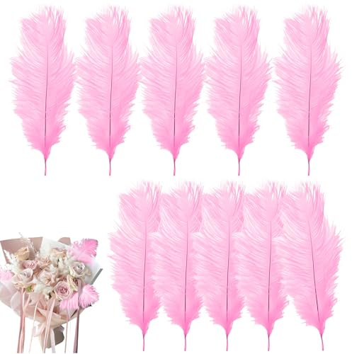 10 Pcs Ostrich Feathers, 20-25cm Large Fluffy Feather, Natural Feathers for Crafting, Christmas Tree Feather Decorations, for Wedding Office Bedroom Living Room (Pink)