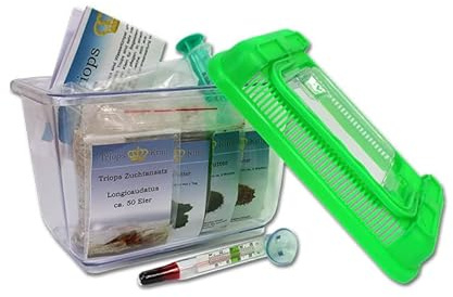 Triops King Urzeitkrebse Einsteiger Set II 300 Eier und einem grünen Deckel - Inkl. Futter, Anleitung, Sand, Thermometer, Triopseiern der Art Longicaudatus und vielem mehr