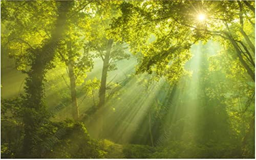 Fototapete 3D Effekt Vlies Tapete Modern Schöne Grüne Urwald-Naturlandschaft Wallpaper Wanddeko Wandbilder 430x300cm
