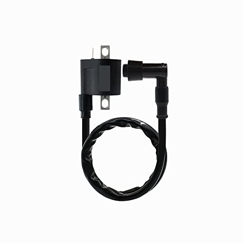 Baceyong Zündspule, Motorrad CDI Zündspule, Kompatibel mit Yamaha Pw 50 Pw50 1981-2009 Pw 80 Pw80 1981-2009