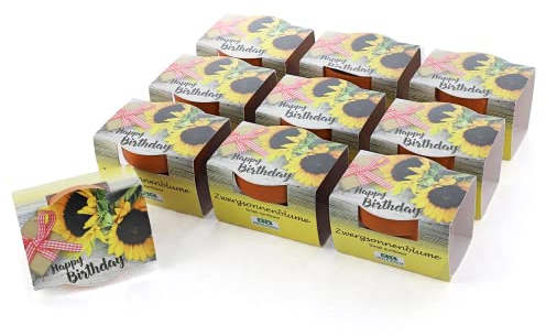 Bull & Bear 10er Set Mini Pflanzset 'Happy Birthday', Blumensamen im Topf 4,5cm, Mini Sonnenblume als Anzuchtset mit Pflegeanleitung