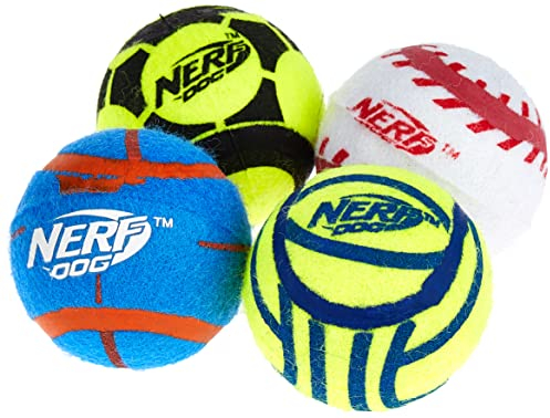 Nerf Dog Hundespielzeug Tennisbälle, maxi stark, massiver Ball für langen Spielspaß, ohne Squeaker, Durchmesser 6,4cm, 4er Pack