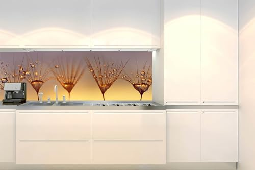 Dimex Küchenrückwand Folie Selbstklebend Tropfen AUF LÖWENZAHN 180 x 60 cm | Klebefolie - Dekofolie - Spritzschutz für Küche