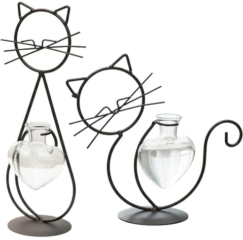 Propagation des Plantes, Lot de 2 terrariums pour Plantes, Station de Propagation décoration Chat Mignon avec vases en Forme cœur en Verre avec Cadre en Fer pour la Maison, Le Bureau, Le dor