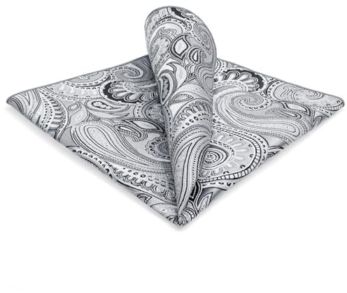 S&W SHLAX&WING Herren Einstecktücher 32cm Grau Paisley 32cm
