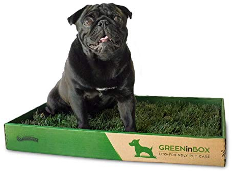GreenInBox - Lettiera in Vera Erba