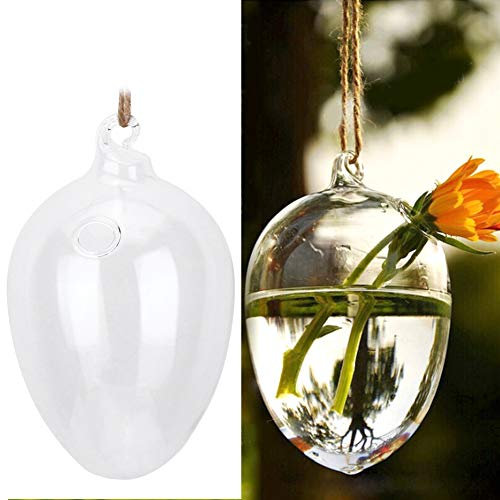 Jardinière En Verre Suspendue Plante Terrarium, Jardinières Suspendues Pour Plantes D'intérieur Terrarium Conteneur Fleur Planteur Vase En Verre Suspendu Mur Hydroponique Aquarium Conteneur Décor À la