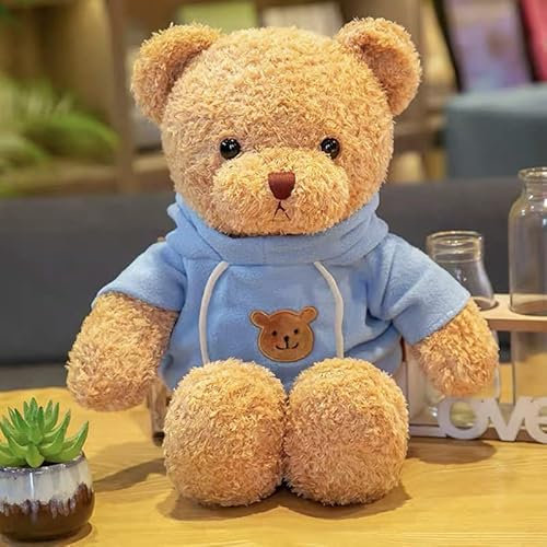 EHOTER Adorable Ours en Peluche avec Capuche, Petit Ours en Peluche De 30 Cm, Jouets pour Enfants, Cadeaux d'anniversaire pour Bébé Garçons Filles (30cm,Bleu)