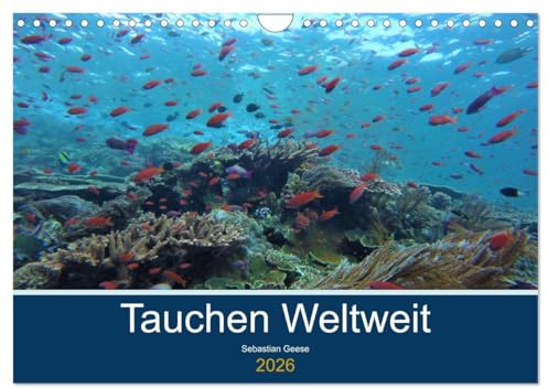 Tauchplätze Weltweit (Wandkalender 2026 DIN A4 quer), CALVENDO Monatskalender: Einige der besten Tauchplätze rund um den Globus (CALVENDO Hobbys)