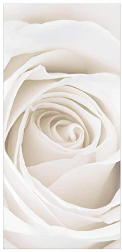 Bilderwelten Rosenbild Raumteiler White Rose Blumen 250x120cm inkl. transparenter Halterung