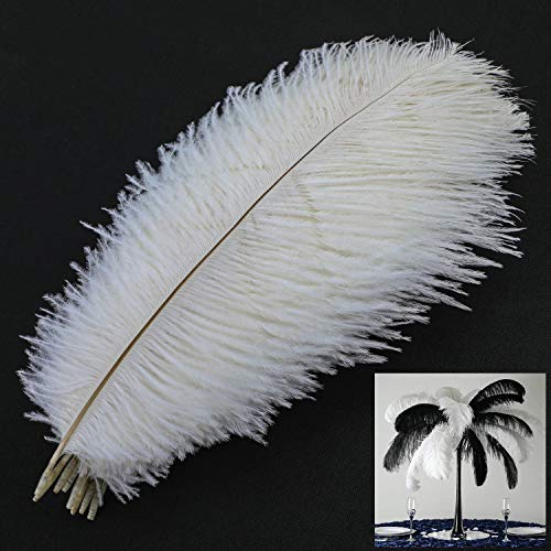 MWOOT 10pcs Naturelles Plumes d’Autruche, Ostrich Feathers Plume 25-30CM pour Les Chapeaux, Maison, Mariage fête Décoration (Blanc)