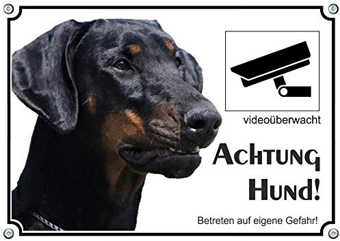 Petsigns Hundeschild - Dobermann - uv-beständiges Schild mit Videoüberwachung, DIN A5