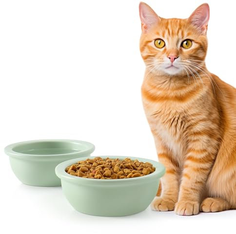 GUUSII HOME 2 Pièces Gamelle Bol pour Chat Ceramique 14cm Remplacement Gamelles pour Nourriture et Eau pour Chaton Chiot Lapin 360ml Lavables au Lave Vaisselle et au Micro Ondes (Vert, 14cm)