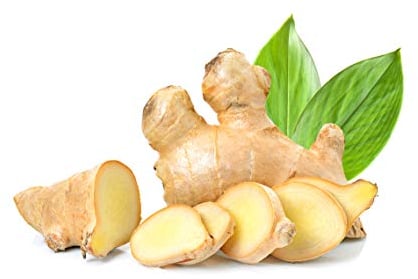 Quast Meerrettich Bio Ingwer | Frischer Ingwer aus biologisch zertifiziertem Anbau | Fresh Ginger (Biologisch, 1000 g)