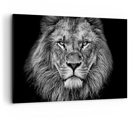 Wandbilder Dekoration Wohnzimmer Porträt Löwe Schwarzweiß Bilder auf Leinwand 120x80cm Leinwandbild Schlafzimmer Küche Deko Wand Kunstdruck Art Groß XXL Wanddeko Bild Wall Decor Canvas AA120x80-4494