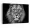 Wandbilder Dekoration Wohnzimmer Porträt Löwe Schwarzweiß Bilder auf Leinwand 120x80cm Leinwandbild Schlafzimmer Küche Deko Wand Kunstdruck Art Groß XXL Wanddeko Bild Wall Decor Canvas AA120x80-4494