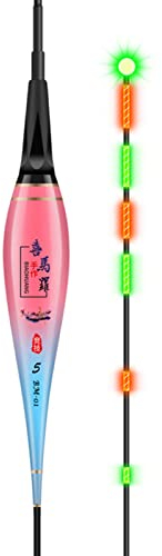 DZAY LED Smart Night Angeln Fishing Posen Set,Posenangeln Leuchtende Angelschwimmer Schwimmend Angelpose Smart mit Gravity Sensing LED Leuchtende Forellenangeln Karpfenposen (2.88g)