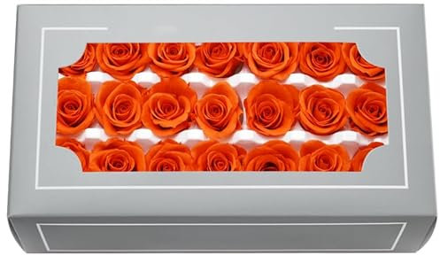 FORTTS A Grade 2-3cm Konservierte Rose, Top Grade Natural Eternal 21 Stück/Box Echte Rosen, Ewige Rose für Muttertag, Valentinstag, Geburtstag, Geschenke, Hochzeit, Zuhause, Party, Dekoration, DIY