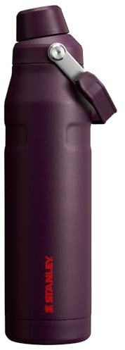 Stanley IceFlow Fast Flow Water Bottle 36 oz | Angled Spout Lid | Lightweight and Leakproof for Travel and Sports | Insulated Stainless Steel | BPA-Free | Plum