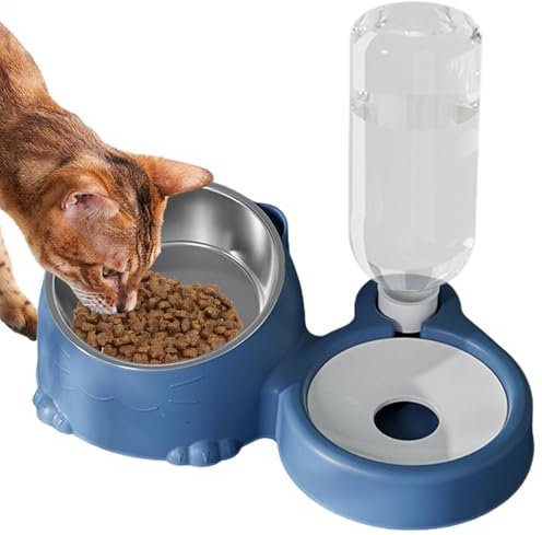 Bols de Nourriture et d'eau pour Chats,Bol d'eau et de Nourriture pour Chat,Gamelle inclinée pour Chats d'intérieur | Bol de Nourriture en Acier Inoxydable pour Chat et Distributeur Automatique d'eau