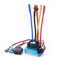 Elektrischer Geschwindigkeitsregler Gebürstet für RC Car Crawler RC Bootsteil, 45A 60A 80A 120A DIY Wasserdichtes bürstenloses Modellspielzeug ESC Elektrischer Geschwindigkeitsregler Staubdicht