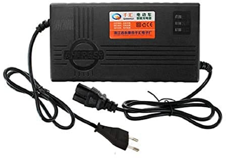 WEKOW Chargeur De Batterie 60V 20AH pour Vélo électrique De Roue De Scooter Batterie Au Plomb E-Bike