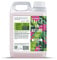 Faith In Nature Natural Dragon Fruit Shampoo, Revitalising for Oily Hair & Scalp, Vegan & Cruelty Free, No SLS, Silicones or Parabens, 2.5L Refill