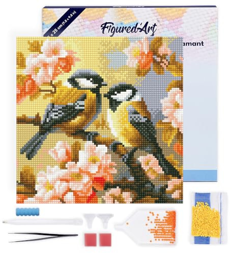 Figured'Art Mini Diamond Painting Erwachsene 25x25cm Mit Rahmen Ganze Leinwand gespannt Vogelpaar zwischen Blüten 5D Bilder Runde Steine - DIY Set Basteln