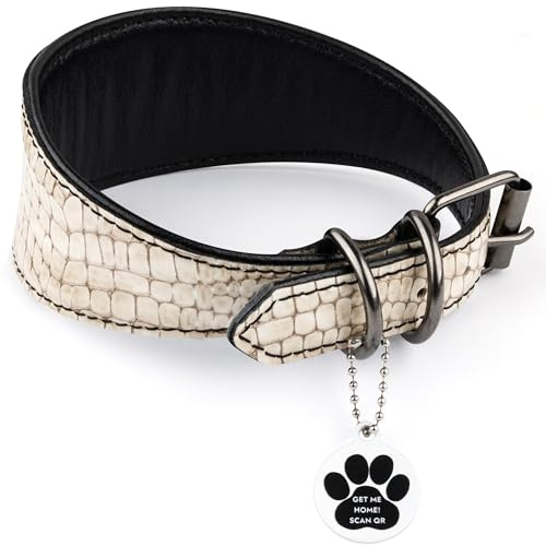 FAVPET Luxus Echtleder Windhund Halsband Breit mit QR Code Anhänger, Weiches Lederhalsband Hund Breit Whippet Italienisches Windspiel Saluki Lurcher Spanischer Galgo Greyhound Podenco (Beige, M)
