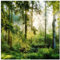 wandmotiv24 Quadratische Fototapete Wald Wiese Bäume, selbstklebende Strukturtapete 260g - Klein - (50x50cm) M0060