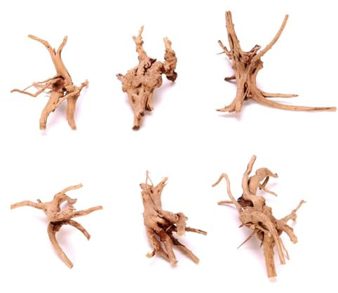 NAUZE 6Pieces Aquarium Driftwoods Solid Reptile Wood Branches Natural Wood Branches Fish Tank Decorations for Home Tree Root Decor