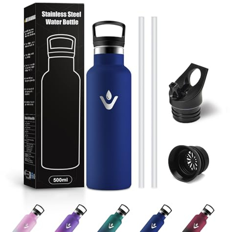 JAPORIA Botella Termica 500ml, Cantimplora Termo con Pajita, Reutilizable, sin BPA, para Escuela, Adultos, Camping, Gimnasio