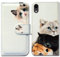 Bcov iPhone XR Wallet Case, Cute Brown Cat Leather Flip Wallet Case Cover with Card Slot Holder Kickstand For iPhone XR