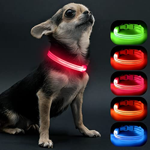 Visinite LED Dog Collar USB Rechargeable, Reflective Light Up Pet Collar for Night Walking, Adjustable Glow Collar for Small Medium Large Dogs (Pink, S)