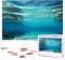 Jigsaw Puzzles 1000 Teile Für Erwachsene Unterwasser Blick Auf Tropischen Strand Jigsaw Puzzle Coole Tier Weihnachten Puzzle Geschenk Puzzle Für Familie Größe 75 X 50 cm