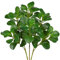 Arborus 3 STK Zweige Künstlich wie Echt 72CM Kunstzweige für Vase Äste und Zweige Deko Kunstpflanzen Zweig Ficus Plastik Zweige Künstlicher Ficus für Zweige Deko Vase Deko Wohnzimmer Schlafzimmer Deko